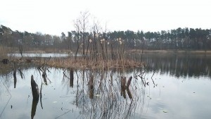 jezioro stobnica mała